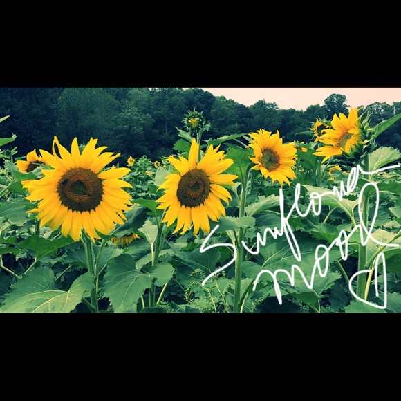 Meet your Posher - Picture 3 of 4